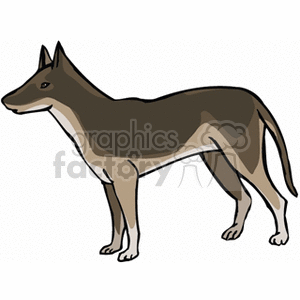 Illustration of a German Shepherd Dog Standing in Profile