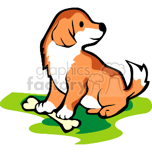 The image is a clipart illustration of a brown and white dog sitting on a green surface, which could be grass, with a bone placed between its front paws. The dog appears to be looking to the side with a happy or content expression. The style is cartoonish, with simple outlines and a limited color palette, typical of clipart designs.