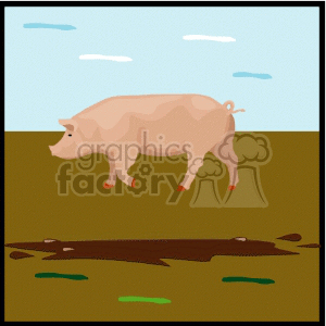 Illustration of a Pig on the Farm