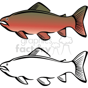 Colorful Fish - Freshwater Fish