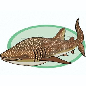 The image depicts a stylized illustration of a whale shark, a large, spotted fish known for being the largest living nonmammalian vertebrate. Despite the name shark, it is generally gentle and poses little threat to humans.