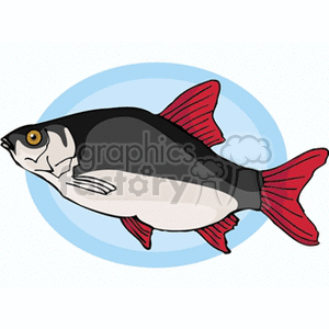Cartoon Fish with Red Fins