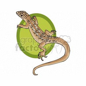 Brown Lizard on Green Background