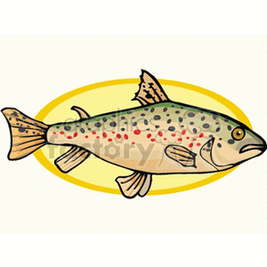 Trout Fish Illustration - Aquatic Animals