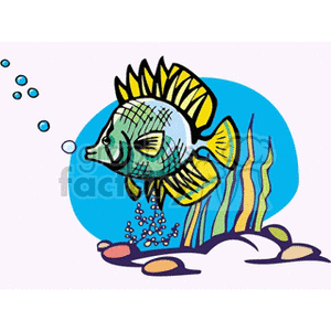 underwater tropical fish