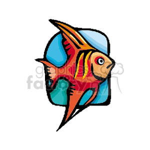 Colorful Tropical Fish
