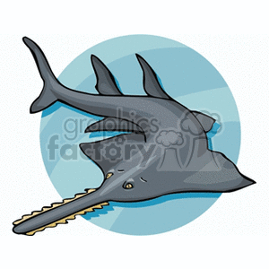 Swordfish - Illustration of Marine Life