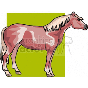 The clipart image depicts a horse standing against a simple, contrasting background.