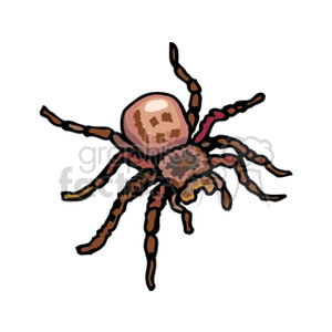 The image depicts a stylized clipart illustration of a spider, which has characteristics resembling a tarantula. It features a large abdomen, several segmented legs, and is colored in shades of brown and tan.