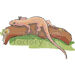 The clipart image depicts a stylized lizard. It is resting on a branch or log. The image is set against a simple green and beige background, presumably representing the ground and the log.