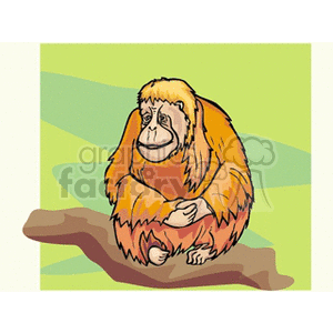 This clipart image features a cartoon orangutan sitting on a branch with a green background.