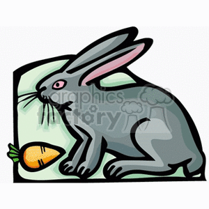 The image is a clipart illustration of a gray rabbit or bunny with pink inner ears and eyes, positioned next to an orange carrot with green leaves. The rabbit appears to be sniffing or about to eat the carrot.
