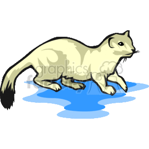 This is a clipart image of a ferret. The ferret is depicted in a stylized form with a beige and black coloring, standing over what appears to be a blue patch, possibly representing water. 