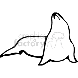 Black and white seal