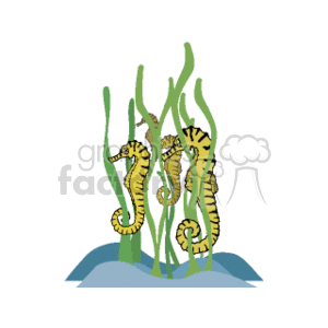 This clipart image depicts three yellow and brown seahorses among green seaweed above a blue wave, representing an ocean or sea environment. The seahorses are presented in a vertical orientation, typical for these creatures when they are clinging to vegetation underwater.