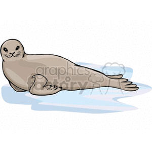 This clipart image depicts a cartoon seal lounging on what appears to be a patch of ice or water. The seal is illustrated in shades of gray and brown, with a contented expression on its face.