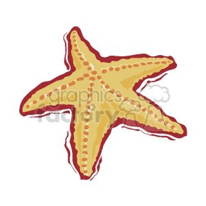 Cartoon starfish