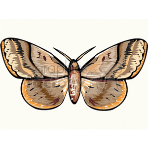 A clipart image of a detailed, colorful butterfly with brown, beige, and orange hues.