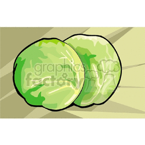 Illustration of two green cabbages