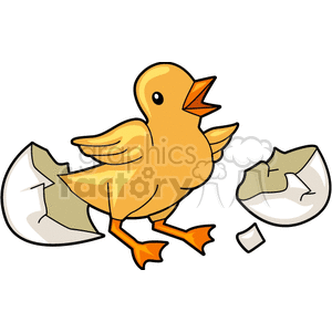 Easter Chick Hatching from Egg