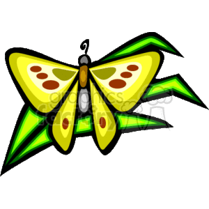   The clipart image shows a stylized, cartoon-like butterfly with wings predominantly green in color, adorned with spots in shades of yellow, red, and white. The body of the butterfly is elongated with white and black patterns, and the antennae are thin and black. 