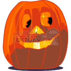 Big orange pumpkin