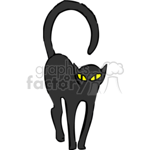 Black cat with yellow eyes