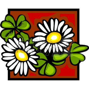 Clovers and daisies framed in red