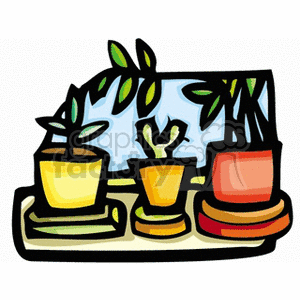 Colorful Potted Plants on Windowsill