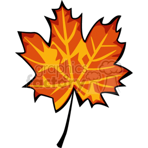 Colorful Maple Leaf Illustration for Autumn Themes