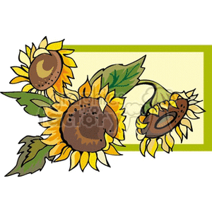 Colorful clipart of three sunflowers with green leaves on a light green background.