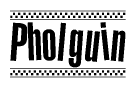 The clipart image displays the text Pholguin in a bold, stylized font. It is enclosed in a rectangular border with a checkerboard pattern running below and above the text, similar to a finish line in racing. 