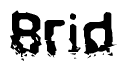 This nametag says Brid, and has a static looking effect at the bottom of the words. The words are in a stylized font.