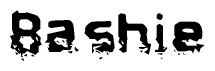 This nametag says Bashie, and has a static looking effect at the bottom of the words. The words are in a stylized font.