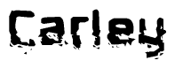 The image contains the word Carley in a stylized font with a static looking effect at the bottom of the words