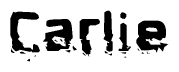 The image contains the word Carlie in a stylized font with a static looking effect at the bottom of the words