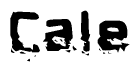This nametag says Cale, and has a static looking effect at the bottom of the words. The words are in a stylized font.
