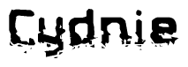 The image contains the word Cydnie in a stylized font with a static looking effect at the bottom of the words