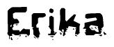 This nametag says Erika, and has a static looking effect at the bottom of the words. The words are in a stylized font.