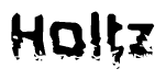 The image contains the word Holtz in a stylized font with a static looking effect at the bottom of the words
