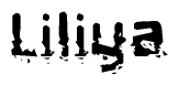 The image contains the word Liliya in a stylized font with a static looking effect at the bottom of the words
