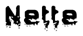 The image contains the word Nette in a stylized font with a static looking effect at the bottom of the words