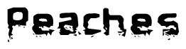 This nametag says Peaches, and has a static looking effect at the bottom of the words. The words are in a stylized font.