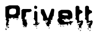 The image contains the word Privett in a stylized font with a static looking effect at the bottom of the words