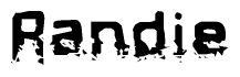 The image contains the word Randie in a stylized font with a static looking effect at the bottom of the words