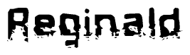 The image contains the word Reginald in a stylized font with a static looking effect at the bottom of the words