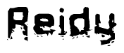The image contains the word Reidy in a stylized font with a static looking effect at the bottom of the words