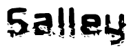 This nametag says Salley, and has a static looking effect at the bottom of the words. The words are in a stylized font.