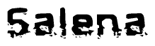 This nametag says Salena, and has a static looking effect at the bottom of the words. The words are in a stylized font.