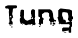 The image contains the word Tung in a stylized font with a static looking effect at the bottom of the words